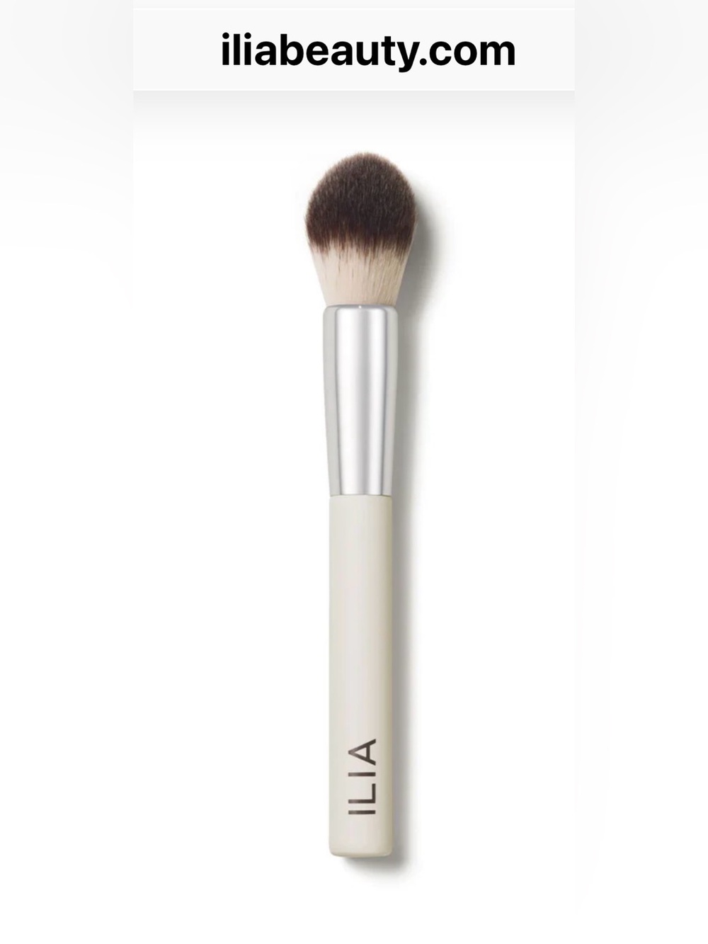 Ilia precision powder brush.